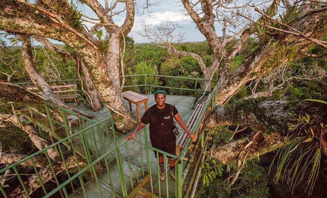 A person stands on a green metal platform built around large tree branches at an Eco-Lodge in the Ecuador Amazon, surrounded by dense forest. Nearby, a wooden table and benches invite relaxation under the partly cloudy sky.