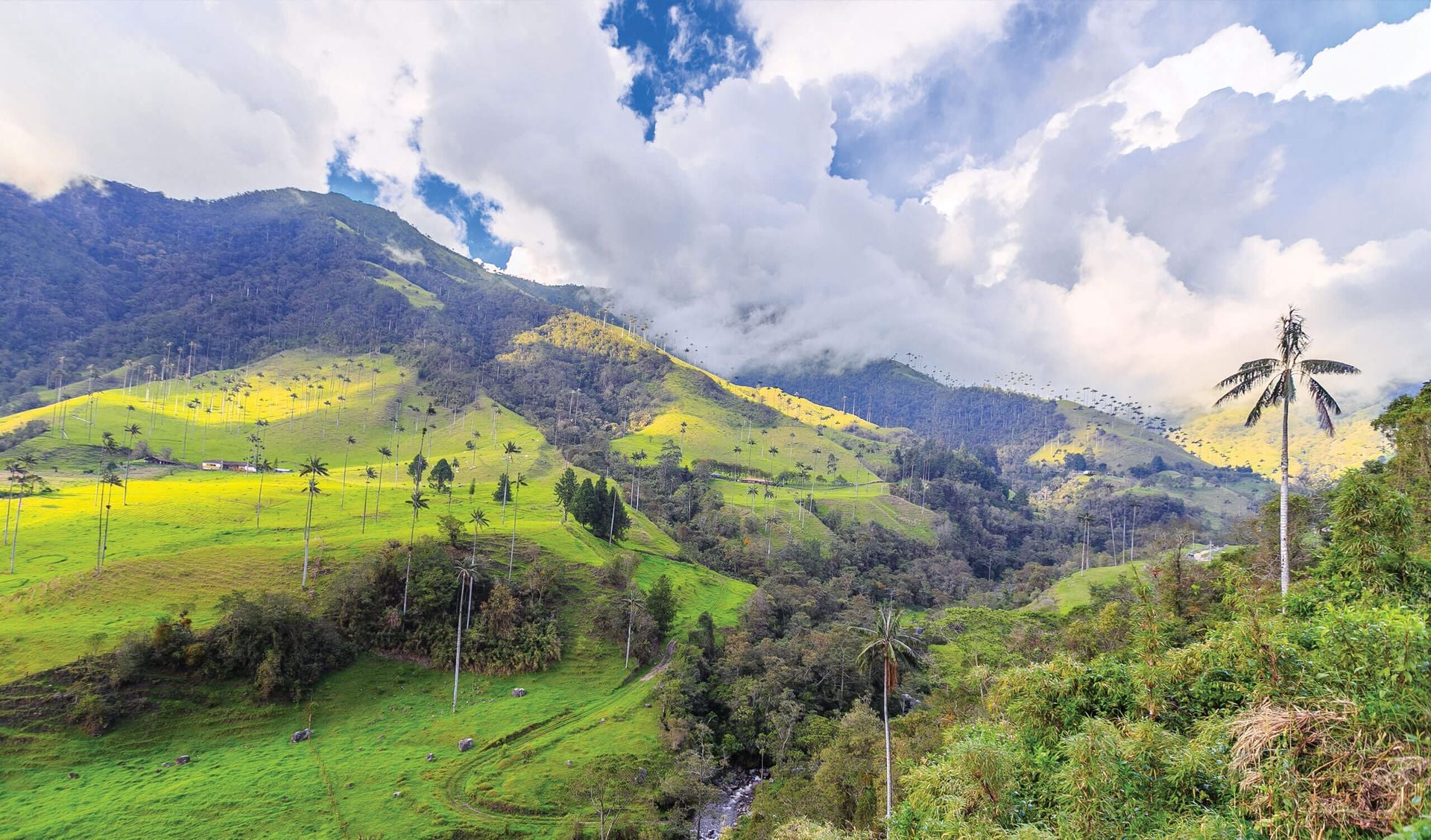 Lush green hills with scattered palm trees and patches of sunlight, under a dramatic cloudy sky, with mountains in the background and a small stream running through the valley—the perfect scene to experience during the Best Time to Visit Colombia.