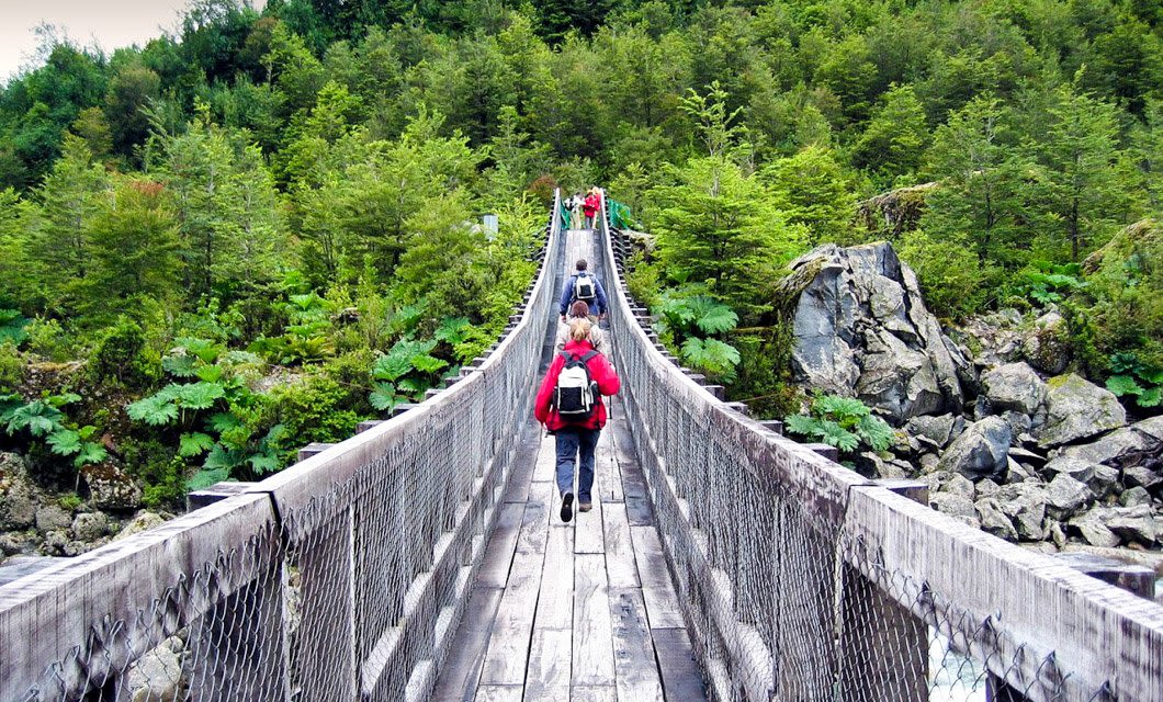 A group of hikers wearing Patagonia backpacks walk across a wooden suspension bridge surrounded by lush green forest and rocky terrain.