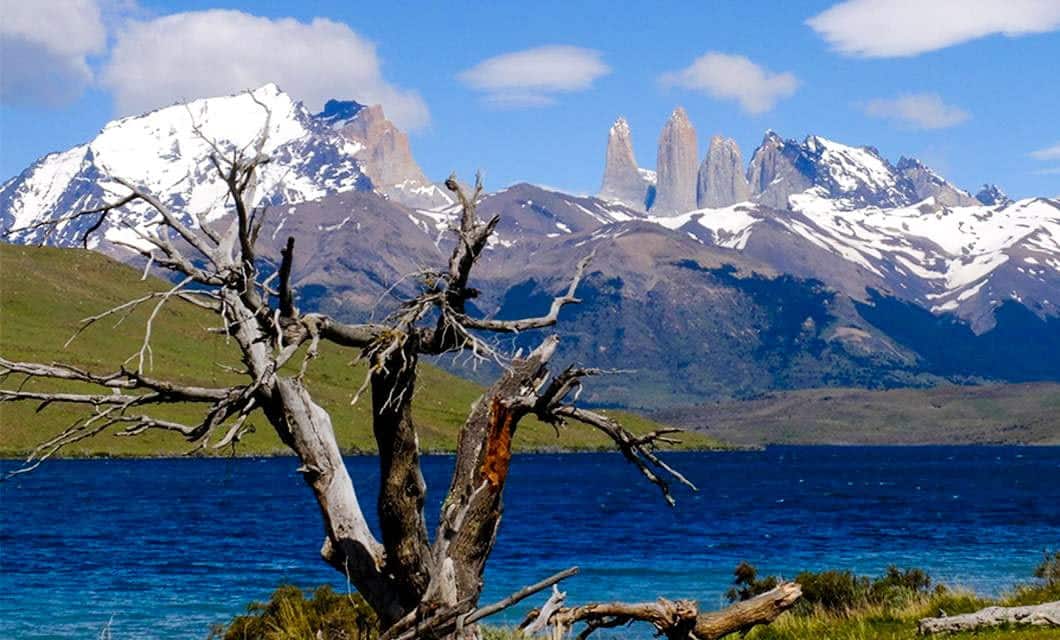 A leafless tree stands by a deep blue lake in Remota Patagonia, with snow-capped mountains and jagged rocky peaks rising in the background under a partly cloudy sky.