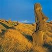 A stone Moai statue stands among tall yellow grasses on Easter Island under a blue sky, with more statues in the background—an unforgettable sight for any perfect trip or travel experience.