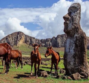 Several brown horses stand near a large, weathered Moai statue on grassy land on Easter Island, with rocky hills and a partly cloudy sky in the background.