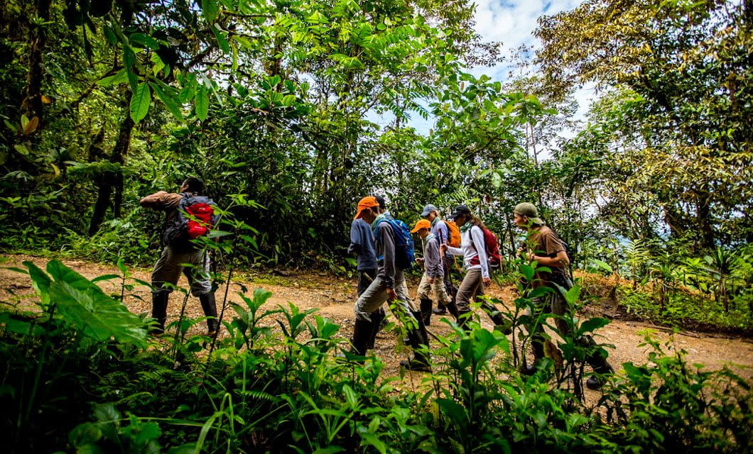 A group of people wearing backpacks and hats hike along a dirt trail through the lush Ecuador rainforest near Mashpi Lodge, surrounded by dense, green tropical vegetation under a partly cloudy sky.