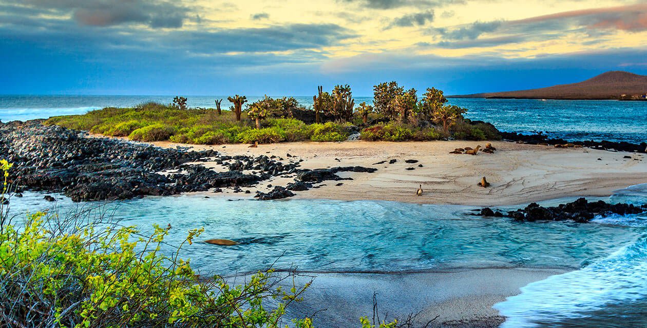 scenic island on galpagos
