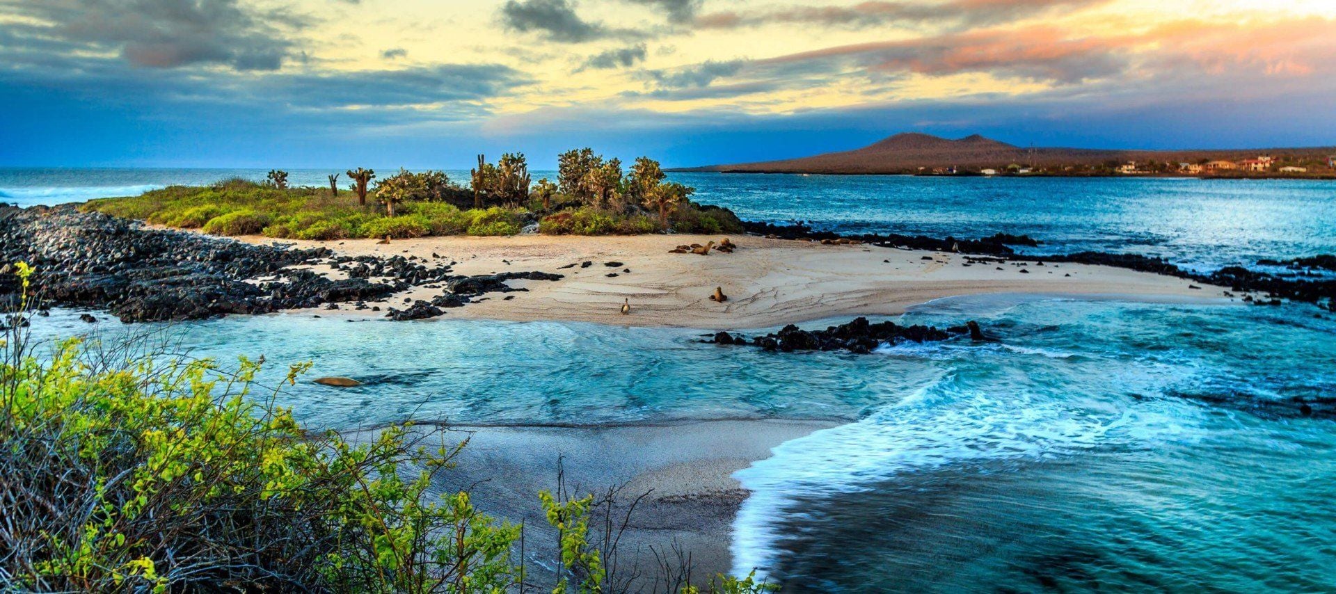 A scenic coastal landscape in the Galapagos Islands features a sandy beach, black volcanic rocks, green shrubs, and calm blue ocean under a partly cloudy sunset sky. Small animals roam the shoreline, inviting exploration for travel guides and adventure seekers.