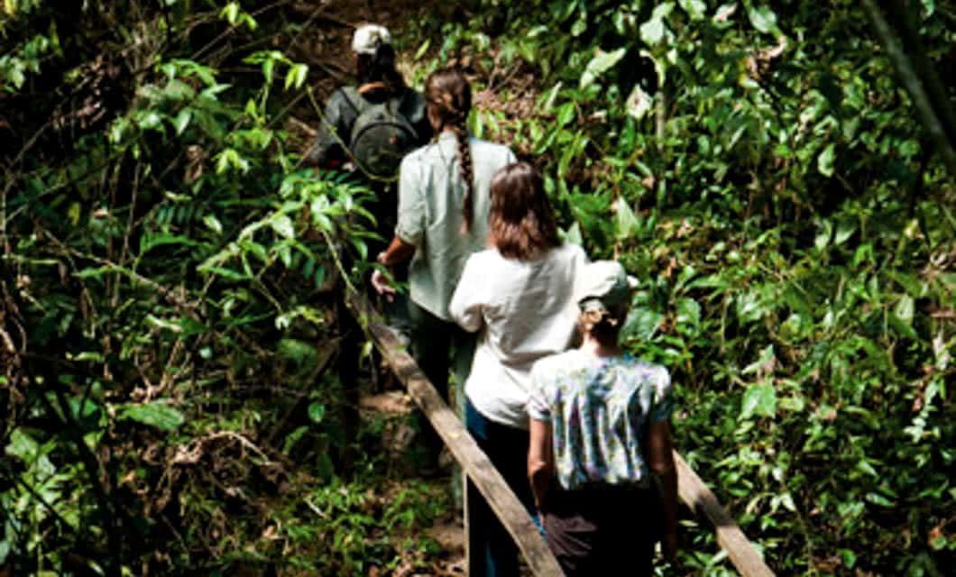 Three people walk single file along a narrow wooden path through dense green vegetation, exploring the lush forest surroundings of Inkaterra Hacienda Concepción Lodge.