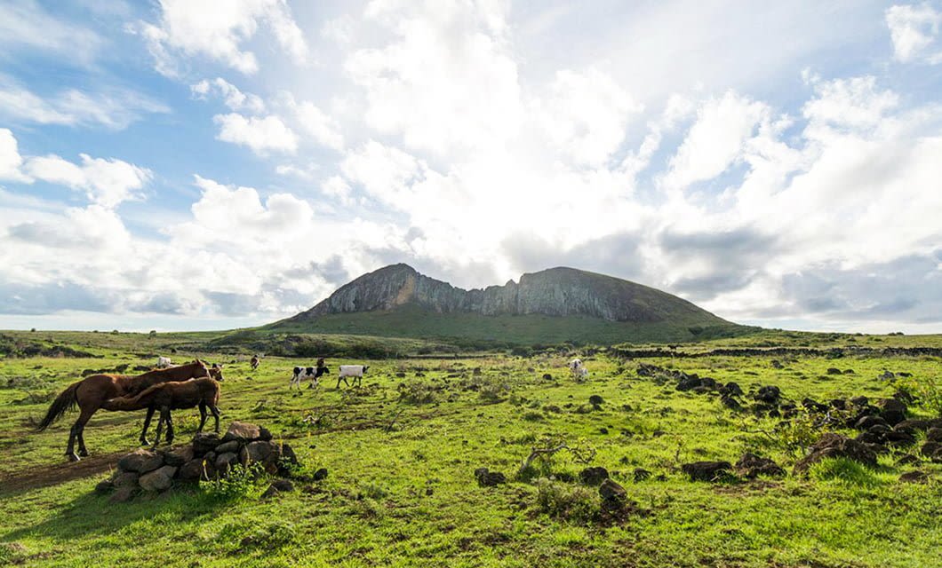 Horses graze on a green field dotted with rocks near Easter Island's rocky hills, under a partly cloudy sky—an idyllic scene near the eco-friendly hotel, Hangaroa Eco Village.