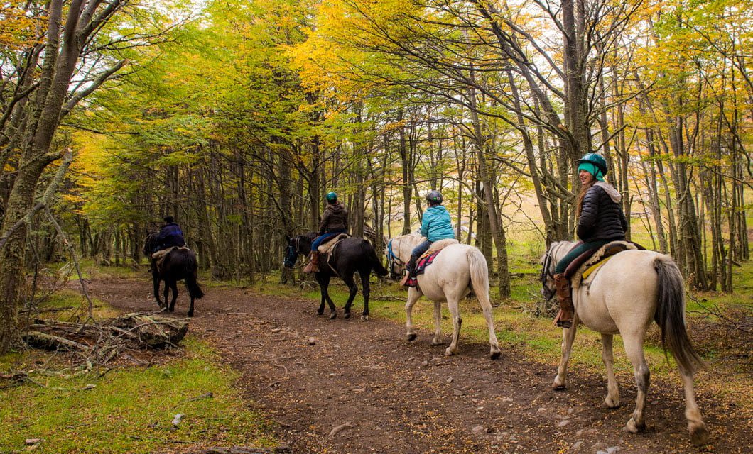 Four people ride horses along a dirt trail through a forest with tall trees and green-yellow foliage, dressed in jackets and helmets, enjoying an outdoor adventure near Tierra Patagonia, a renowned Patagonia hotel and spa.