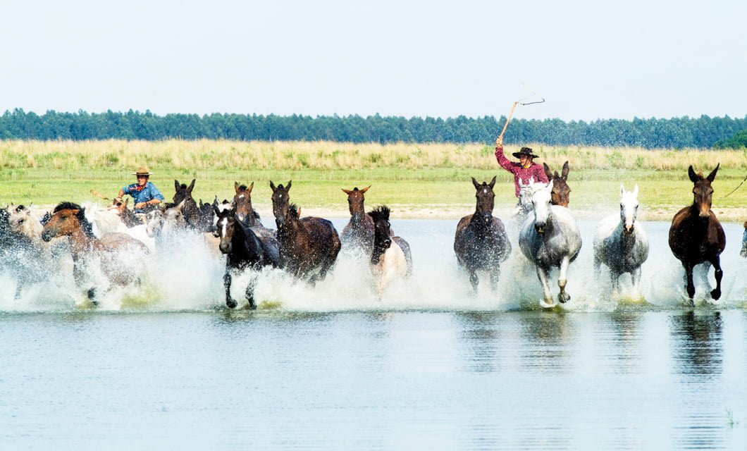 A group of horses gallop through shallow water at Estancia Buena Vista, splashing as two riders in hats and colorful shirts guide them across a grassy landscape with a forest in the background.