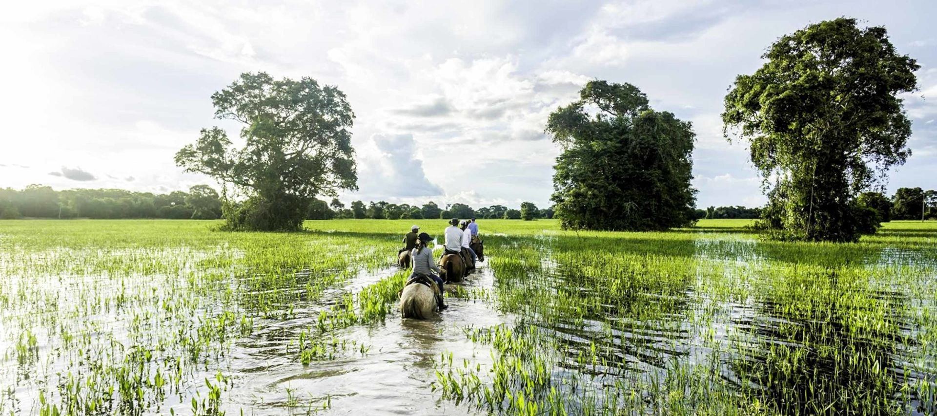 People on Brazil Adventure Tours ride horses through a flooded grassy plain, surrounded by tall green trees under a bright, partly cloudy sky. The water covers the ground, reflecting light and lush vegetation.