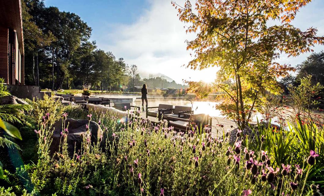A person stands by a tranquil pond surrounded by lush greenery and flowering plants at Hotel Vira Vira. Sunlight filters through the trees, illuminating empty outdoor seating and creating a peaceful, scenic atmosphere.
