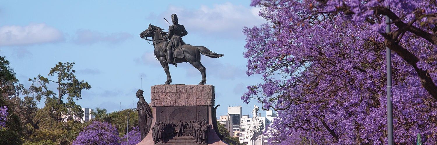 jacaranda trees in full bloom in buenos aires argentina