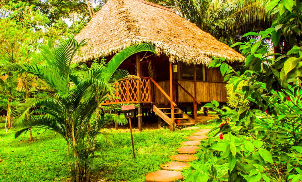 A rustic wooden hut with a thatched roof stands surrounded by lush tropical greenery at Corto Maltes Lodge. A stone path leads to its porch, and palm trees and dense plants frame the lodge in a vibrant jungle setting.