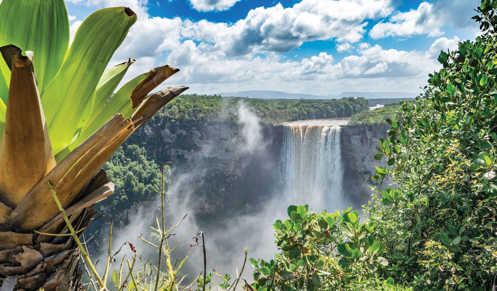 A wide waterfall cascades over a forested cliff under a bright blue sky in Guyana, surrounded by lush green foliage and large tropical plants. Discover the breathtaking scenery and learn the best time to visit this natural wonder.