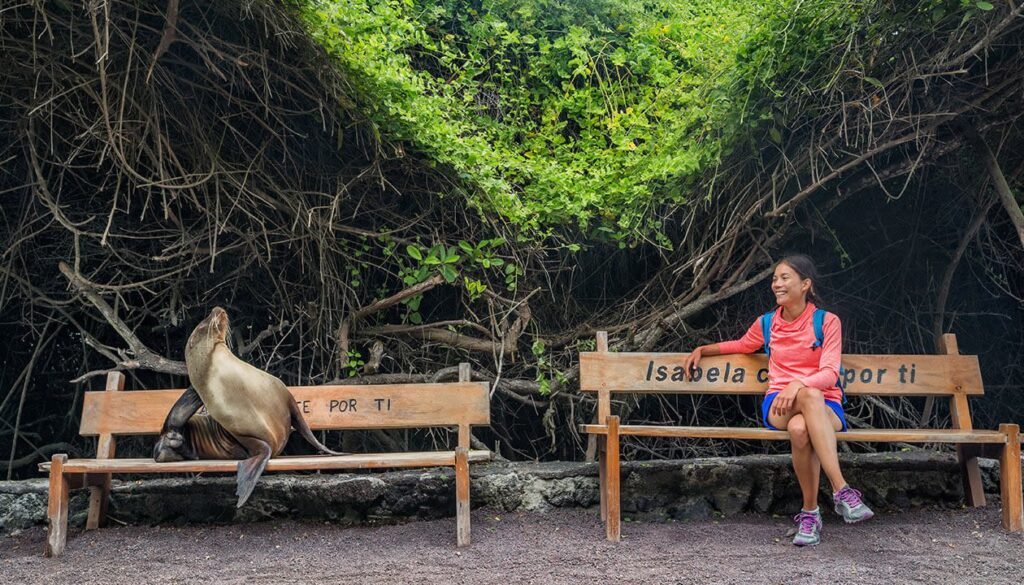 A sea lion sits on a wooden bench facing a woman in athletic clothes, who is smiling from a nearby bench—one of those unforgettable moments you might discover while exploring the best places South America has to offer. Behind them is dense greenery and tree branches.