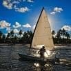 A person sails a small boat on wavy water with the sun shining brightly behind the sail. Palm trees and clouds decorate the horizon beneath a vibrant blue sky, capturing the spirit of organised holidays by the sea.