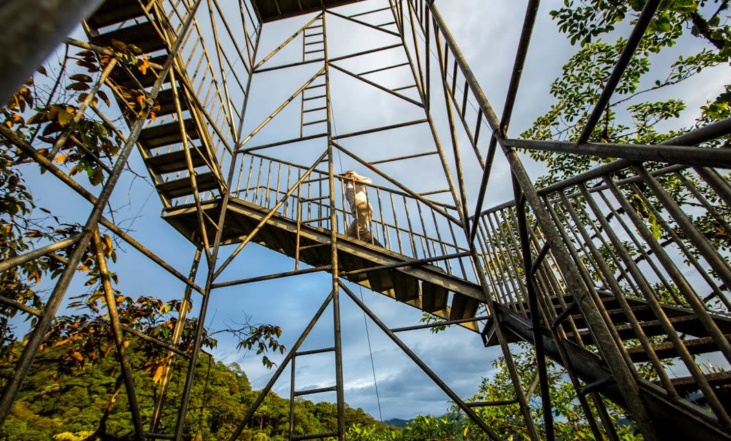 A person stands on a metal observation tower at Mashpi Lodge, a luxury rainforest lodge. The tower rises above lush trees and foliage, with a blue sky and clouds stretching out in the background.