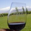 A close-up of a hand holding a wine glass with red wine, set against a blurred green field, trees, and snow-capped mountains under a blue sky—a scene that captures the essence of a memorable experience.