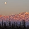 The image shows snow-capped mountains bathed in warm sunlight with the full moon rising. Leafless trees stand in the foreground under a clear, pale sky—evoking the breathtaking landscapes of Chile & Argentina.