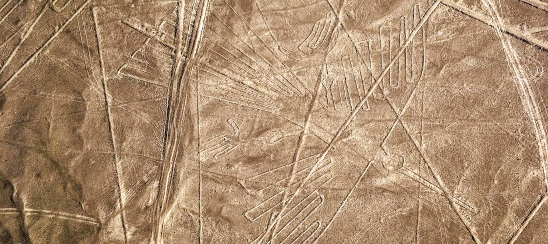 Aerial view of the Nazca Lines in Peru, featuring large geoglyphs etched into the desert, including a stylized bird and straight intersecting lines—an iconic sight often explored on Peru tours or specialized Nazca Lines Tours.