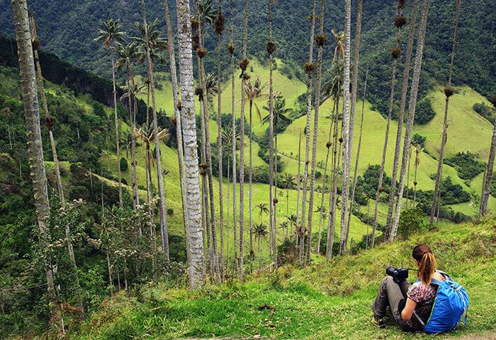 A woman with a blue backpack sits on a grassy hill, looking out over a lush South American valley filled with tall palm trees and green fields, with forested mountains in the background—a perfect travel moment for your list of things to do.