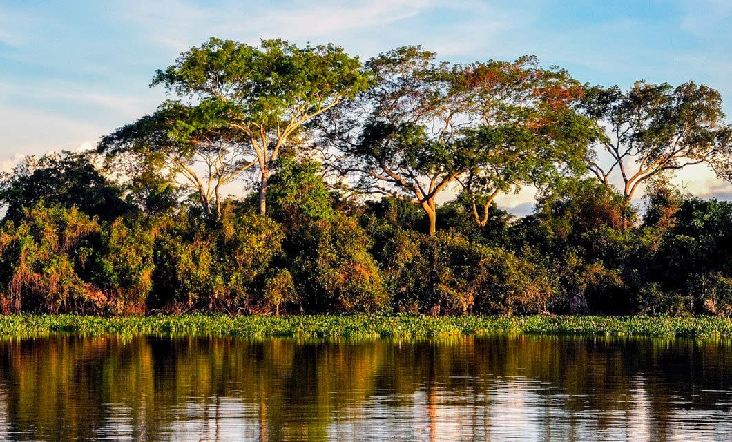 Lush green trees and dense vegetation line the edge of a calm river at Pousada Rio Mutum, their reflections visible in the water under a blue sky with scattered clouds.