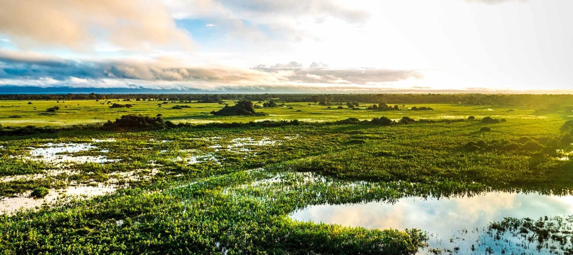 A vibrant green wetland landscape under a dramatic sky, with patches of water reflecting sunlight and low, rolling clouds in the distance—an inviting scene for unforgettable Pantanal Tours and incredible Pantanal wildlife sightings.
