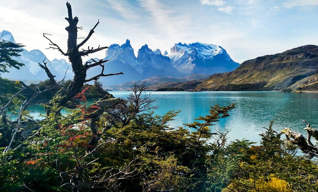 A turquoise lake surrounded by green foliage and rugged, snow-capped mountains under a bright sky, with a leafless tree in the foreground—an idyllic scene reminiscent of an Awasi Patagonia luxury lodge experience.