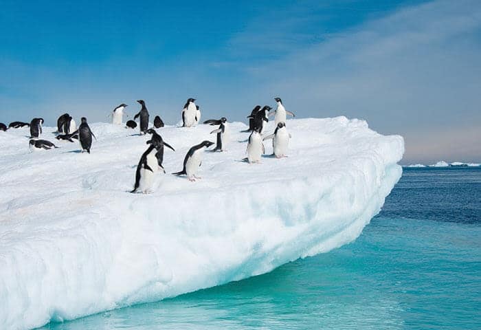 A group of penguins stands on a large, snowy iceberg floating in turquoise water under a partly cloudy blue sky—an iconic scene among the unforgettable sights on Antarctica tours.