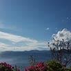 A scenic view of a lake with mountains in the background, bright blue sky with wispy clouds, and colorful flowers and leafy plants in the foreground—perfect for relaxing after enjoying excellent service nearby.
