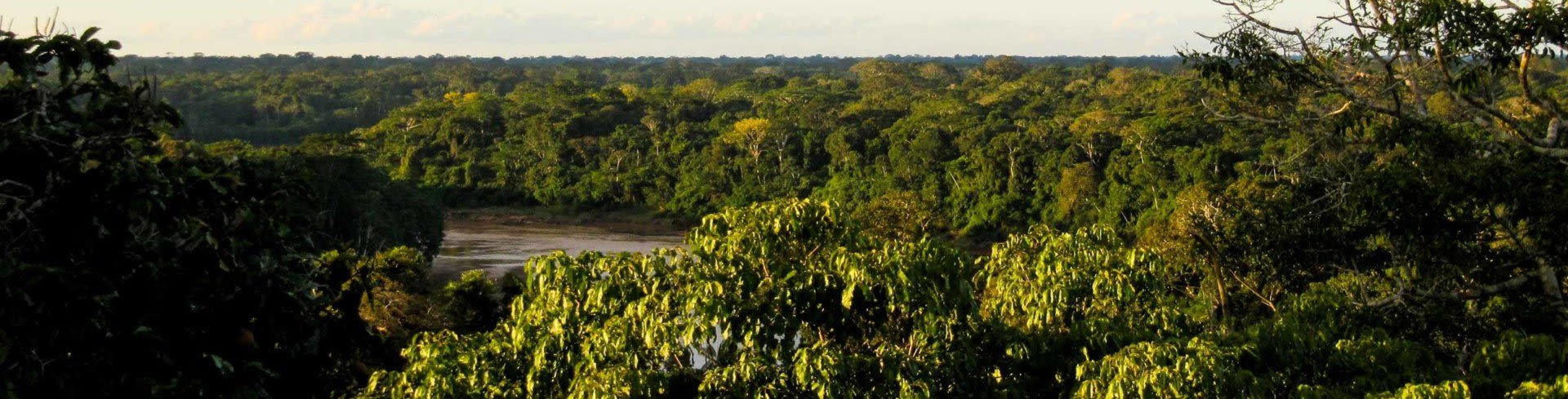 A dense tropical rainforest with lush green trees stretches to the horizon under a partly cloudy sky, with a river partially visible through the foliage—an iconic scene straight from an Amazon Rainforest travel guide.