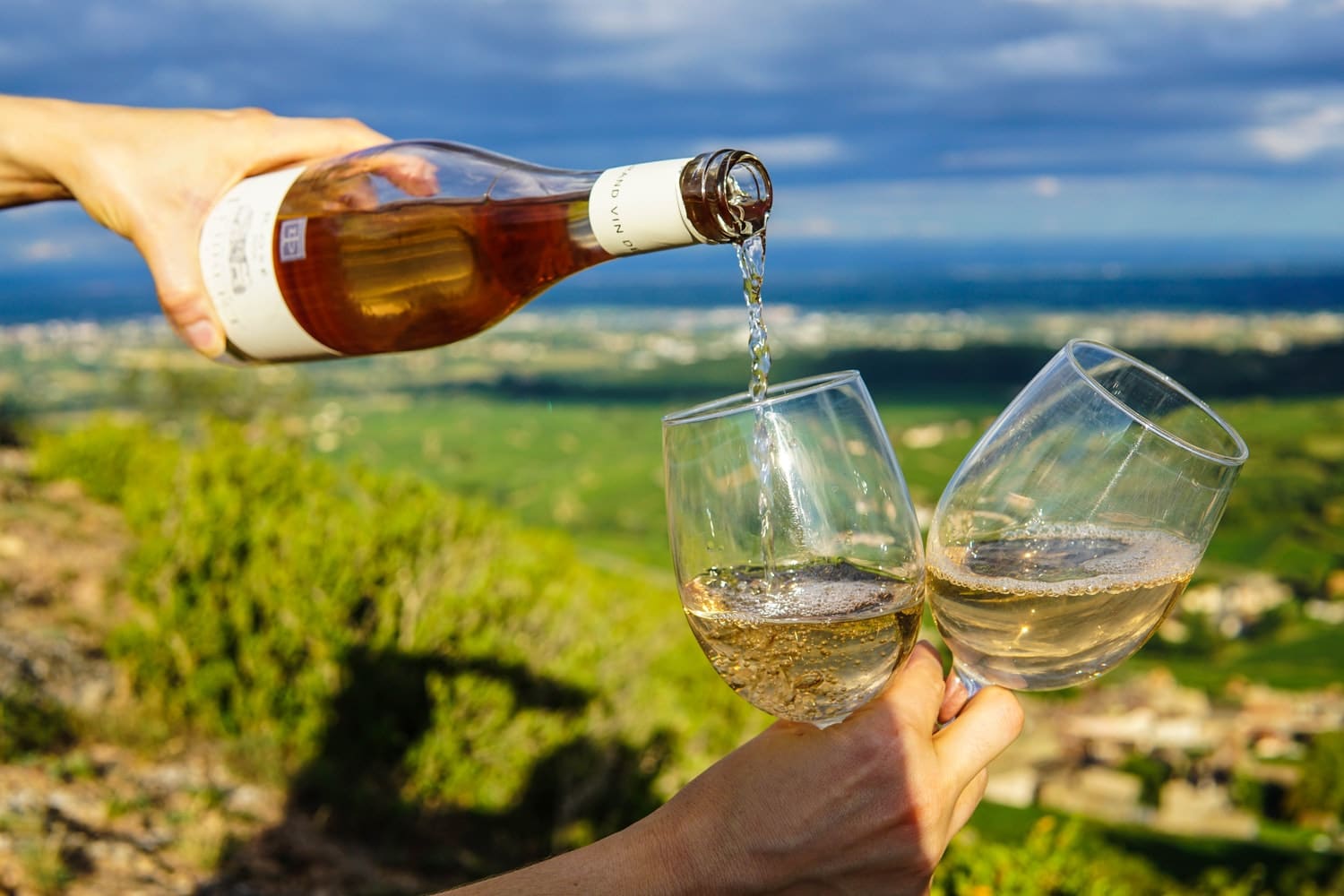 what-is-argentina-famous-for-wine