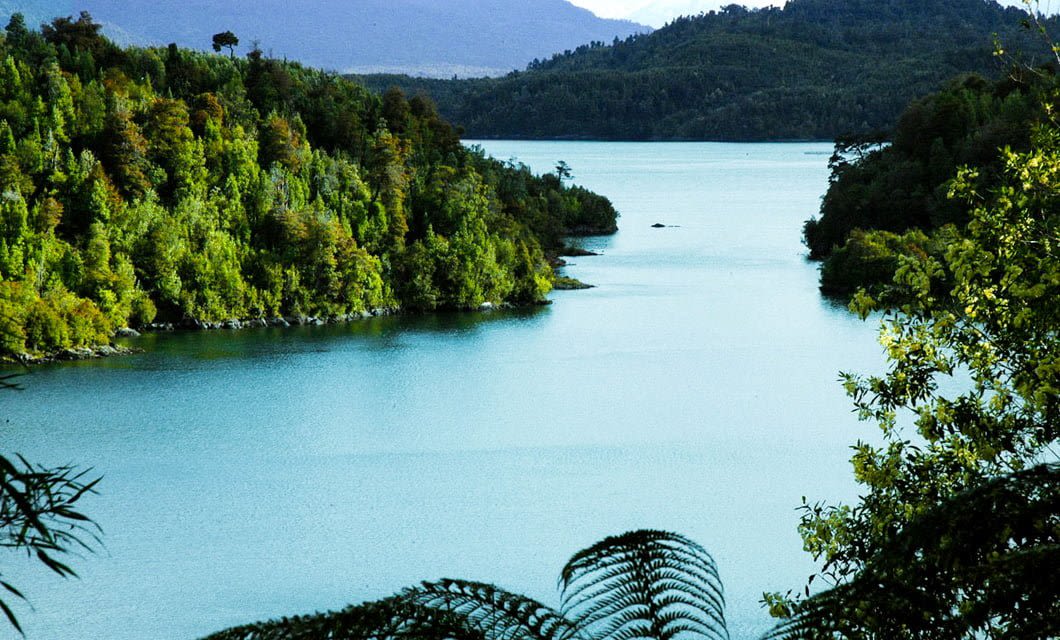 A peaceful river winds between lush green hills in Patagonia, Chile, under a clear sky, with dense forest on both sides and reflections of the trees in its calm water. Ferns and branches frame the scene near Puyuhuapi Lodge.