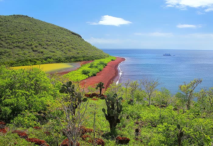 A vibrant coastal landscape in the Galapagos Islands with green hills, red sandy shoreline, lush vegetation, cacti, and clear blue ocean under a bright sky—perfect for travel and discovering unique things to do. A boat glides in the distance.