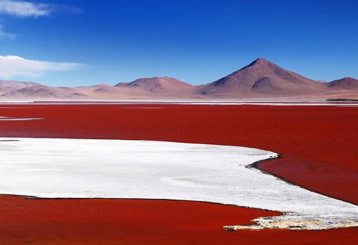 A vivid landscape featuring a striking red lake with a white salt shoreline, set against distant mountains under a bright blue sky—a must-see travel destination in South America with unforgettable things to do.