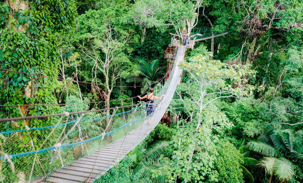 A person crosses a long, narrow suspension bridge surrounded by lush green trees and dense jungle foliage, heading toward Corto Maltes Lodge where another person waits at the far end.