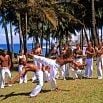 A group of people have a great time practicing capoeira outdoors on grass near palm trees and the ocean, with two individuals sparring in the center while others look on.