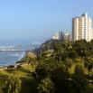 A coastal cityscape with tall white buildings on a cliff, a park with green trees in the foreground, and the ocean with a pier in the background—perfect for first time visitors or vacation planning under a clear blue sky.
