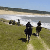 Five people riding horses move with clockwork precision along a grassy coastal path beside a sandy beach and the ocean under a clear blue sky.