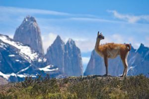 Chile Patagonia Tours