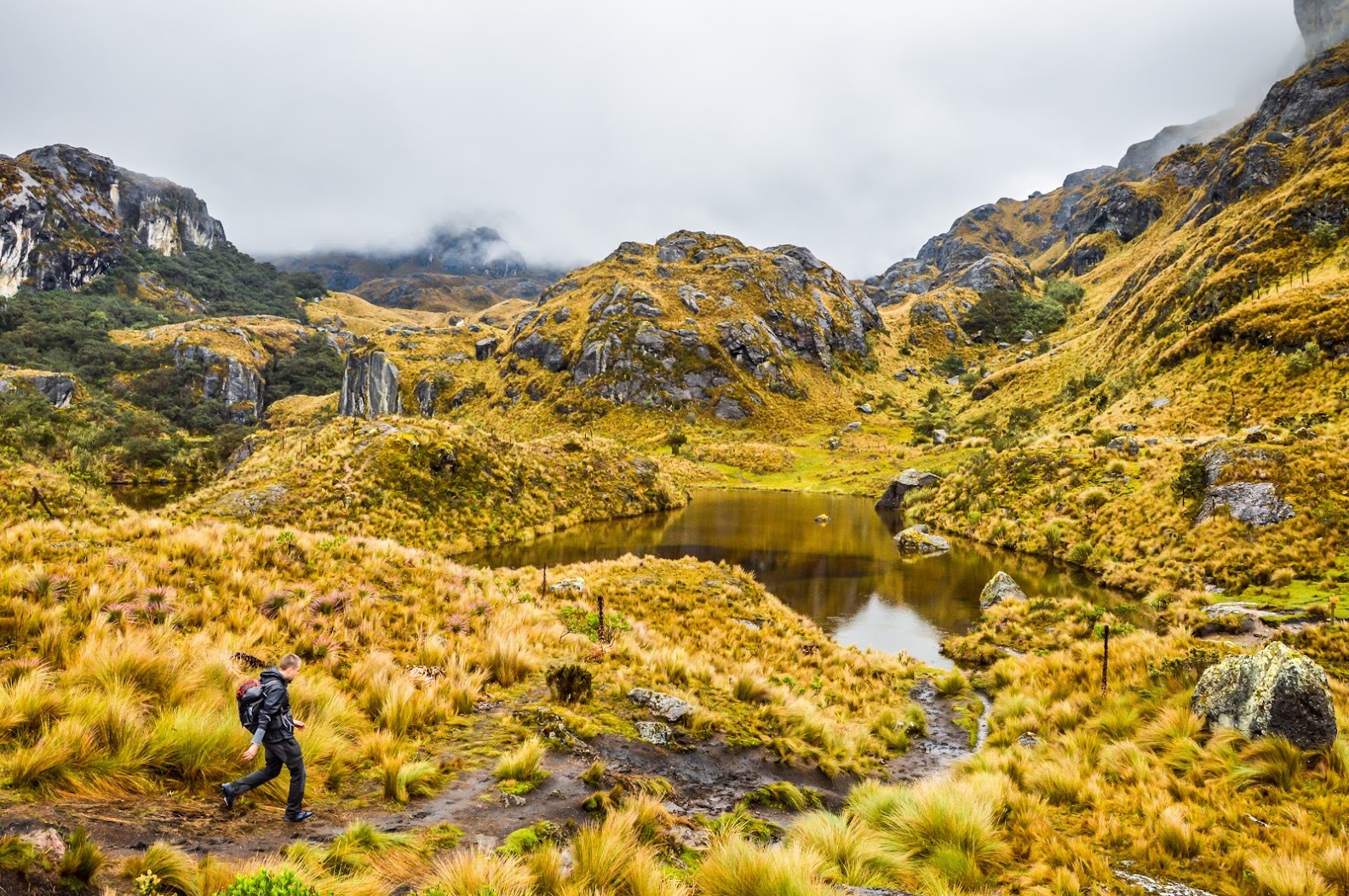 what is ecuador famous for