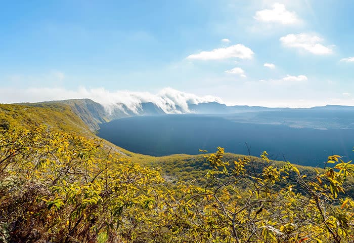 A wide volcanic crater with a steep rim, covered in green vegetation, sits beneath a bright blue sky in the Galapagos Islands—a must-see travel destination with unforgettable things to do. Clouds drift over the edge as sunlight illuminates shrubs in the foreground.