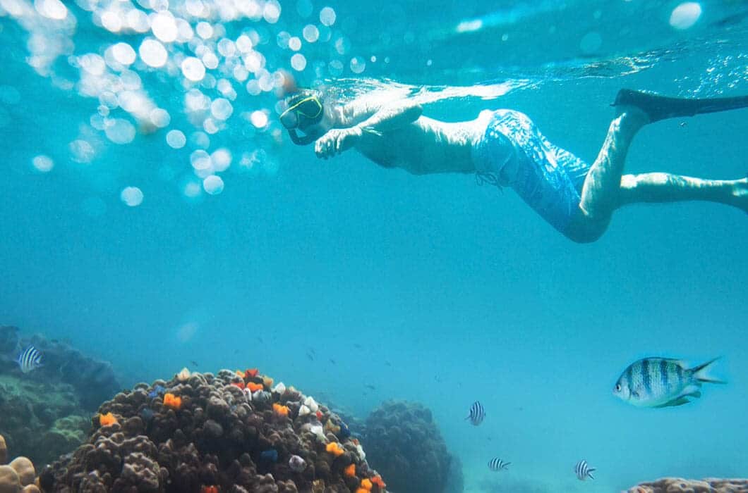 A person wearing a snorkel and fins swims underwater above colorful coral reefs, surrounded by tropical fish in clear blue water—one of the unforgettable Brazil attractions for those seeking amazing things to do in Brazil.