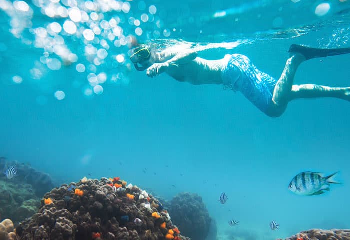 A person wearing a snorkel and fins swims underwater above a coral reef in the Galapagos Islands, surrounded by colorful fish and clear blue water. Sunlight filters through the surface, creating sparkling reflections—one of many unforgettable things to do while you travel.