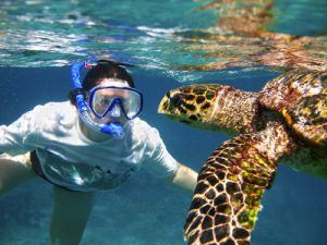 galapagos islands tours snorkeling