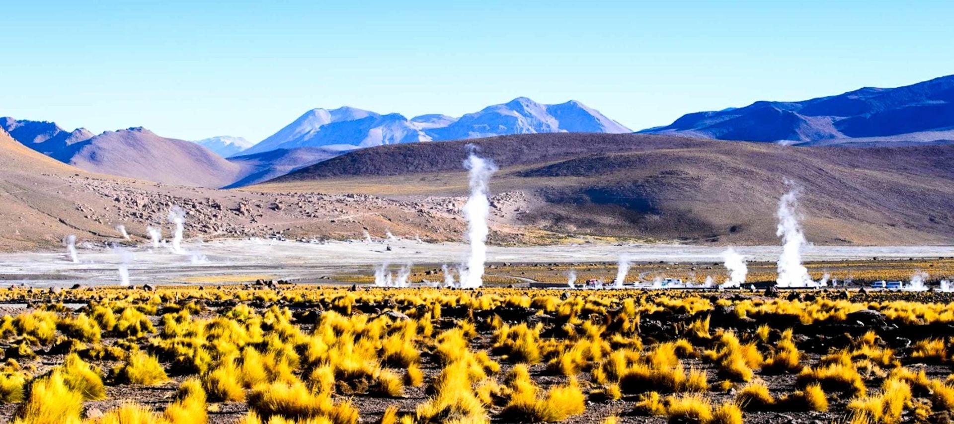 Yellow grass covers a wide plain with several columns of steam rising from geysers. Mountains and a clear blue sky fill the background in this high-altitude landscape, reminiscent of scenic tours through Chile or Peru.