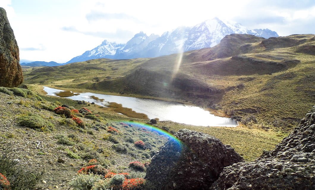 A scenic valley near Tierra Patagonia hotel, with a winding river, grassy hills, scattered red wildflowers, rocky outcrops, and snow-capped mountains in the background, sunlight creating a bright lens flare.