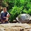 A man squats on a stone path next to a large tortoise, surrounded by green bushes in a natural outdoor setting—an unforgettable moment from his South America trip.