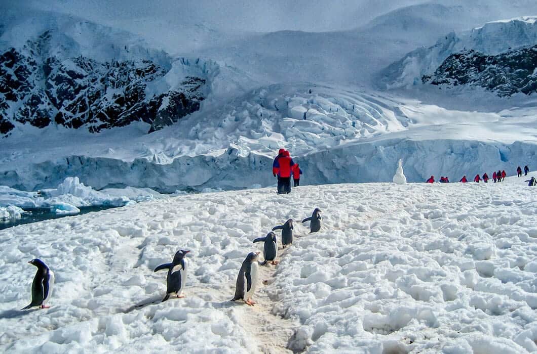 A group of penguins walk in a line across snowy terrain, with people in red jackets exploring one of the top Antarctica attractions. Snow-covered mountains and glaciers surround the scene under a cloudy sky.
