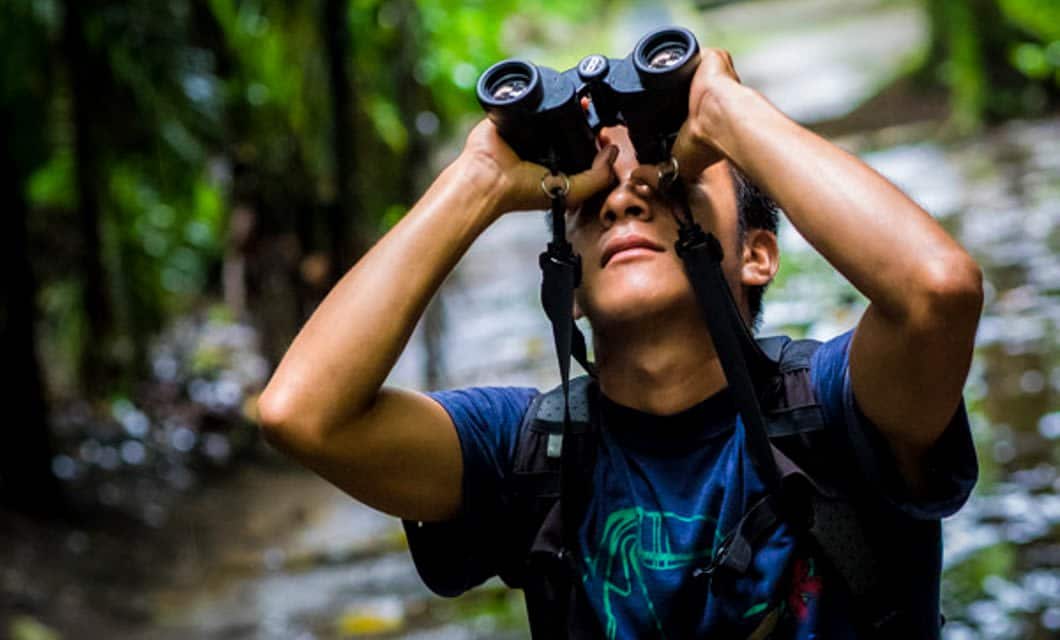 A person outdoors in the Amazon rainforest looks up through binoculars, wearing a dark t-shirt and backpack, surrounded by lush greenery and a wet path in the background.
